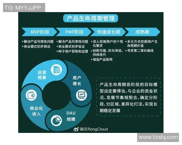 三地基本走势图分析与解读助力精准决策与投资策略优化