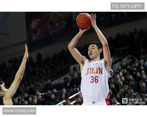 代怀博的成长之路与未来发展展望：从初创到行业领军者的蜕变历程