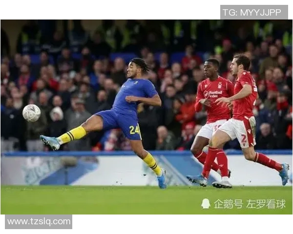 范戴克的足球传奇之路：从青涩少年到世界顶级后卫的成长历程