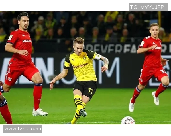 林菲尔德迎战罗森博格强强对决谁能笑到最后 林菲尔德迎战罗森博格强强对决谁能笑到最后