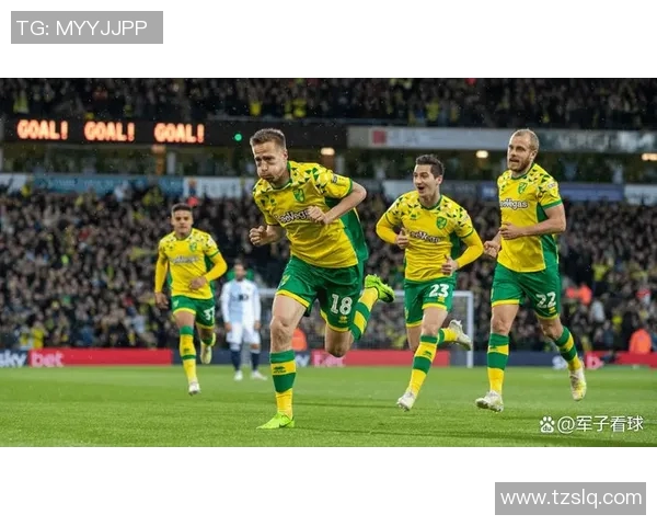 诺维奇主场迎战罗瑟汉姆期待精彩对决与胜利之争 诺维奇主场迎战罗瑟汉姆期待精彩对决与胜利之争