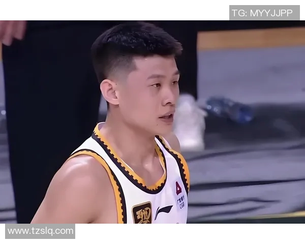 辽宁男篮对阵同曦队的精彩对决回顾与分析2017赛季表现