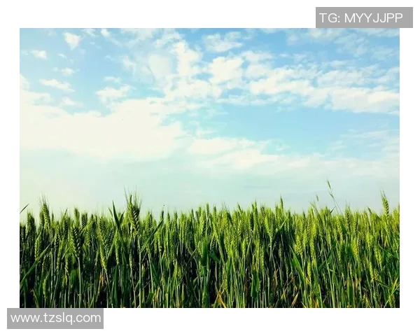 萨林杰的文学世界与心灵探索：从麦田里的守望者看其独特的创作风格与人生哲学